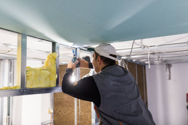 Best Garage Insulation Installation  in Gridley, IL