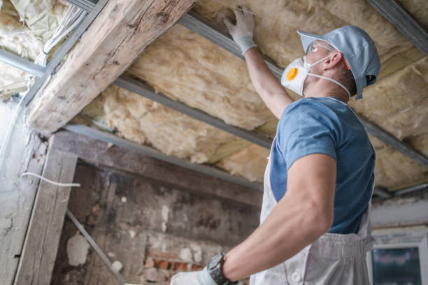 Best Best Insulation Companies  in Gridley, IL