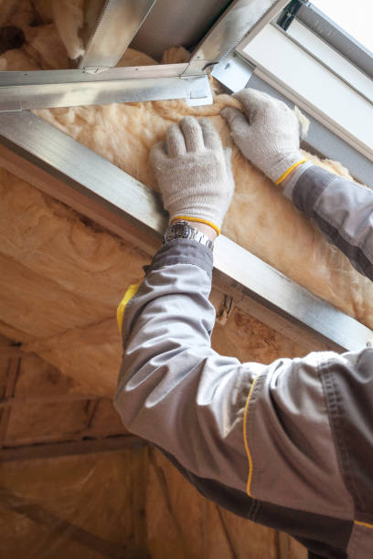 Best Professional Insulation Contractor  in Gridley, IL