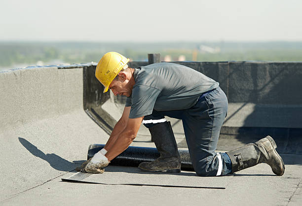 Best Insulation Replacement Services  in Gridley, IL