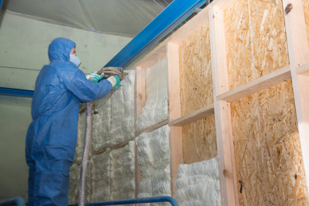 Best Spray Foam Insulation  in Gridley, IL