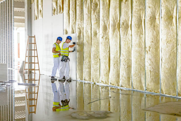 Best Spray Foam Insulation  in Gridley, IL